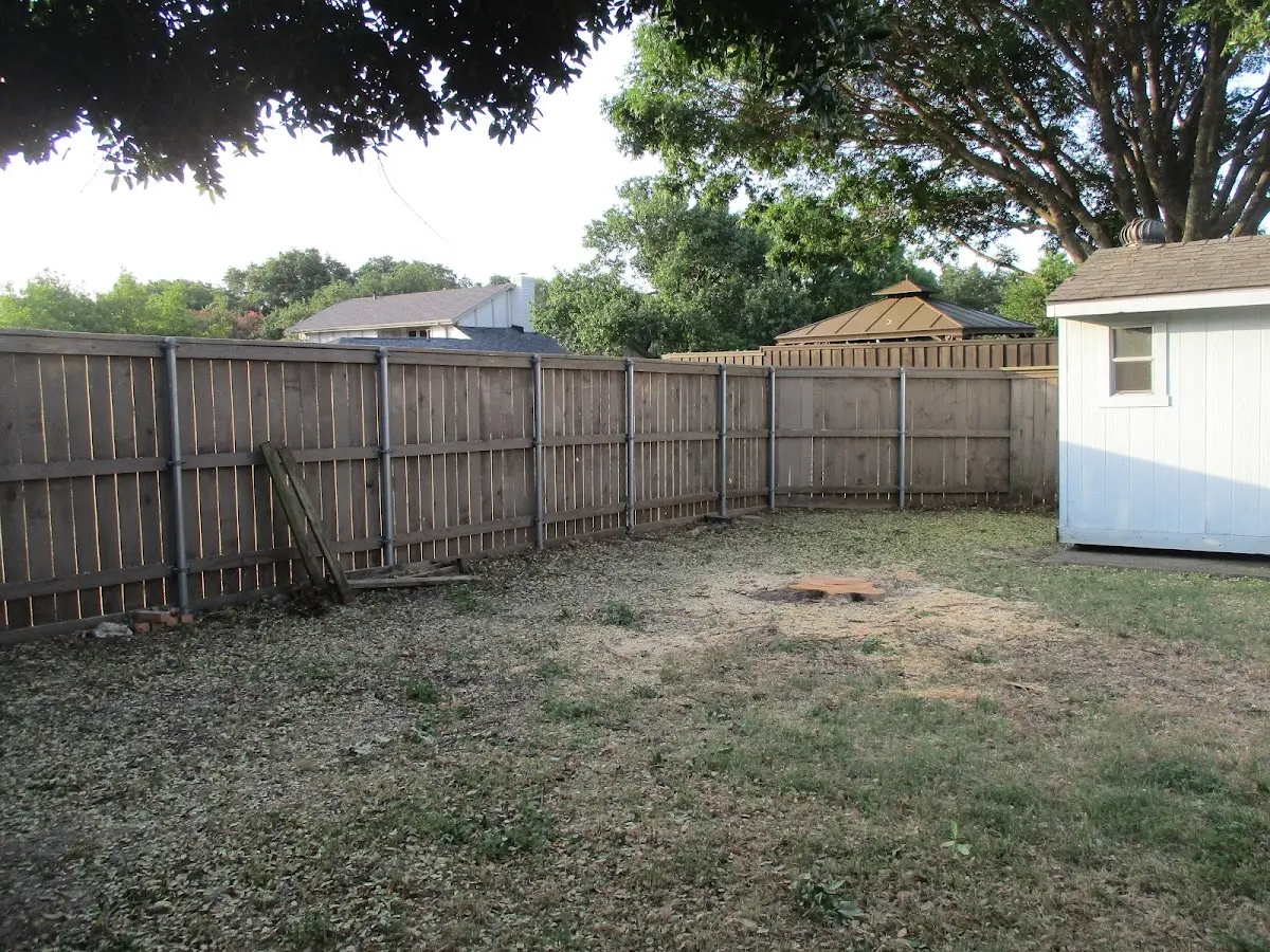 Cleared yard after professional tree removal in Barnegat Light